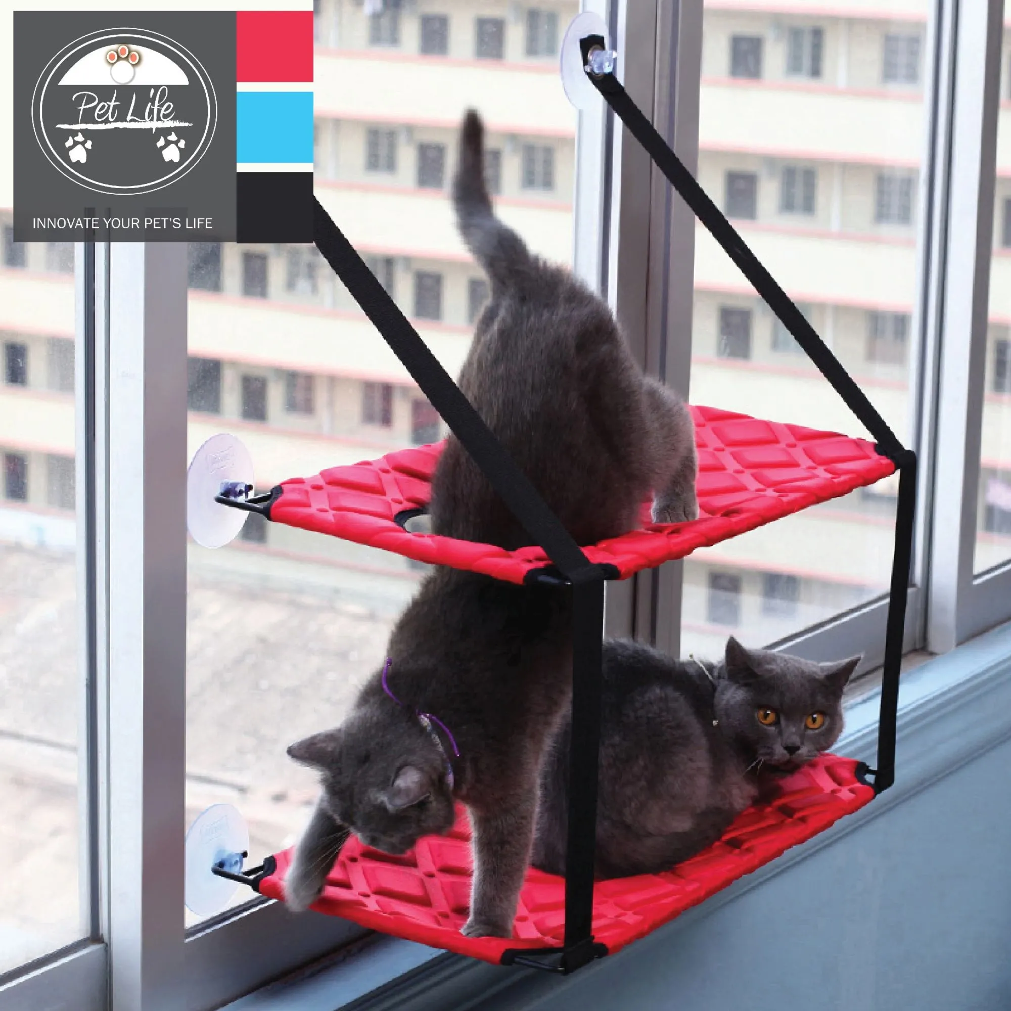 Cat Lounger with Suction Cups HomeStyle