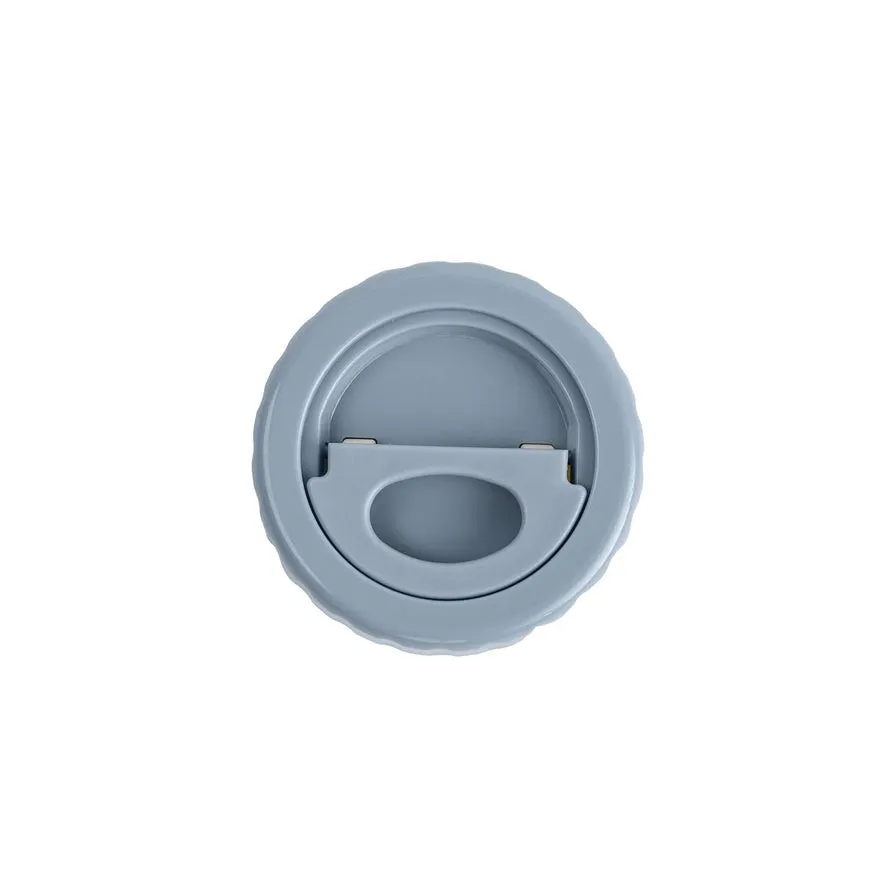 Citron Stainless Steel Food Jar 250ml - Dusty Blue