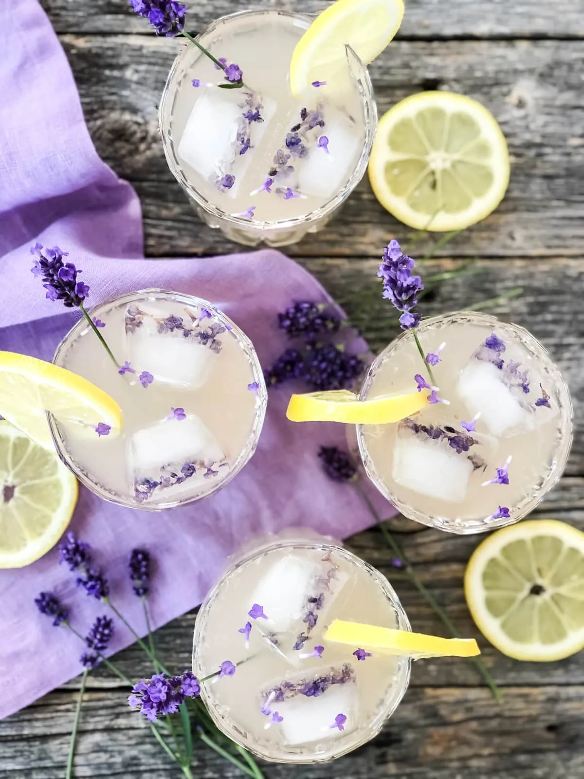 Craft Cocktail Infusion Kits: Blueberry Lavender Lemonade Fizz