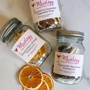 Craft Cocktail Infusion Kits: Blueberry Lavender Lemonade Fizz