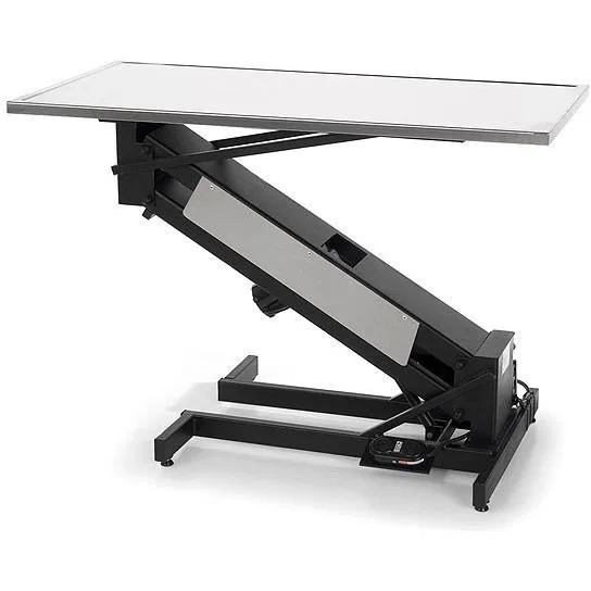 Electric Veterinary Exam Table | Extra Low Height