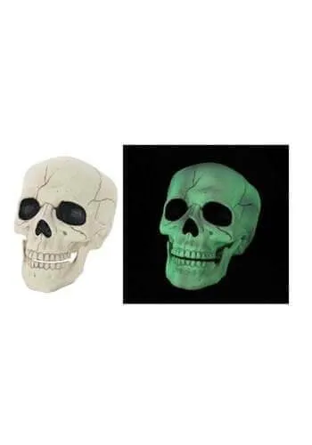 Glow In the Dark Skull