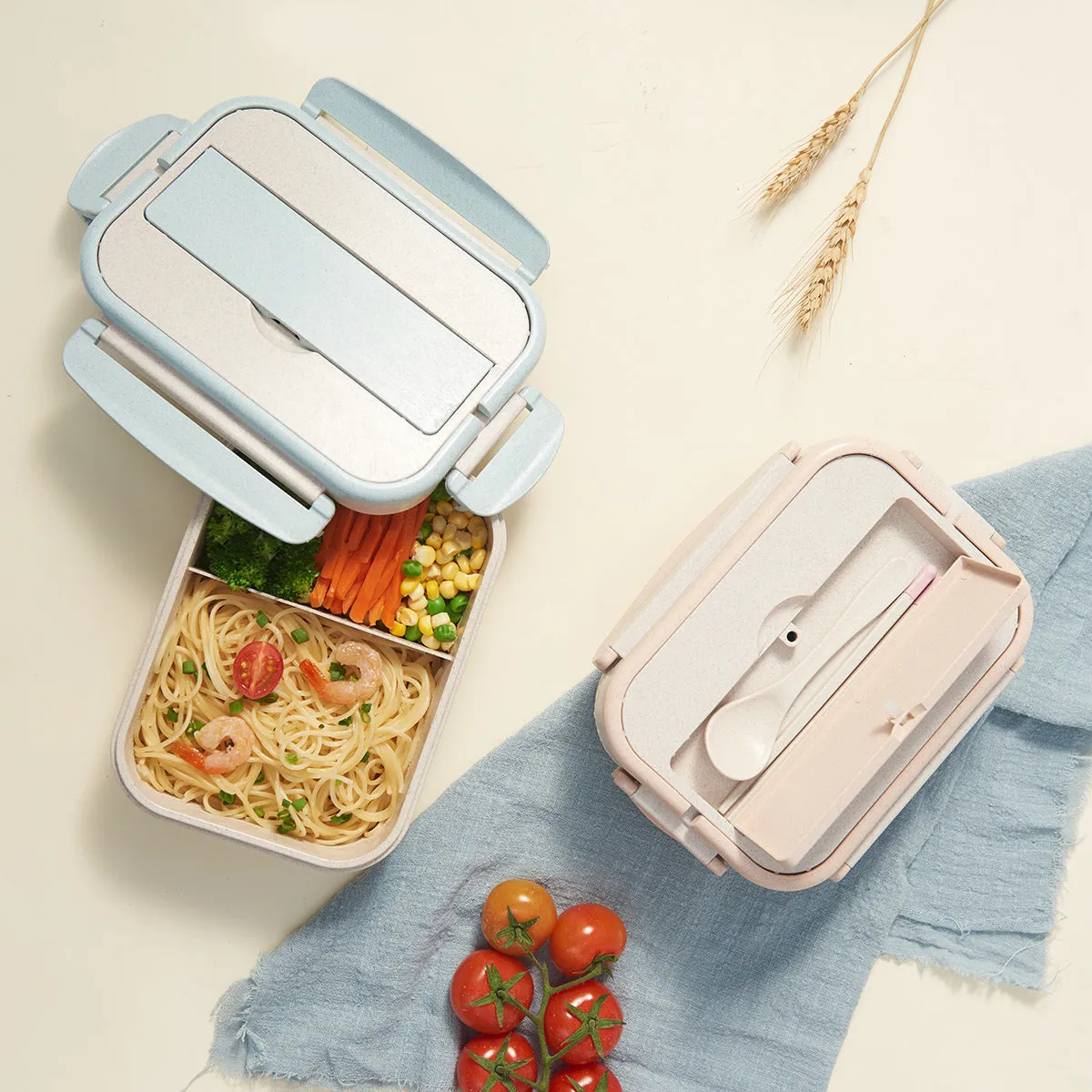Japanese Style Bento Lunch Box with Compartments