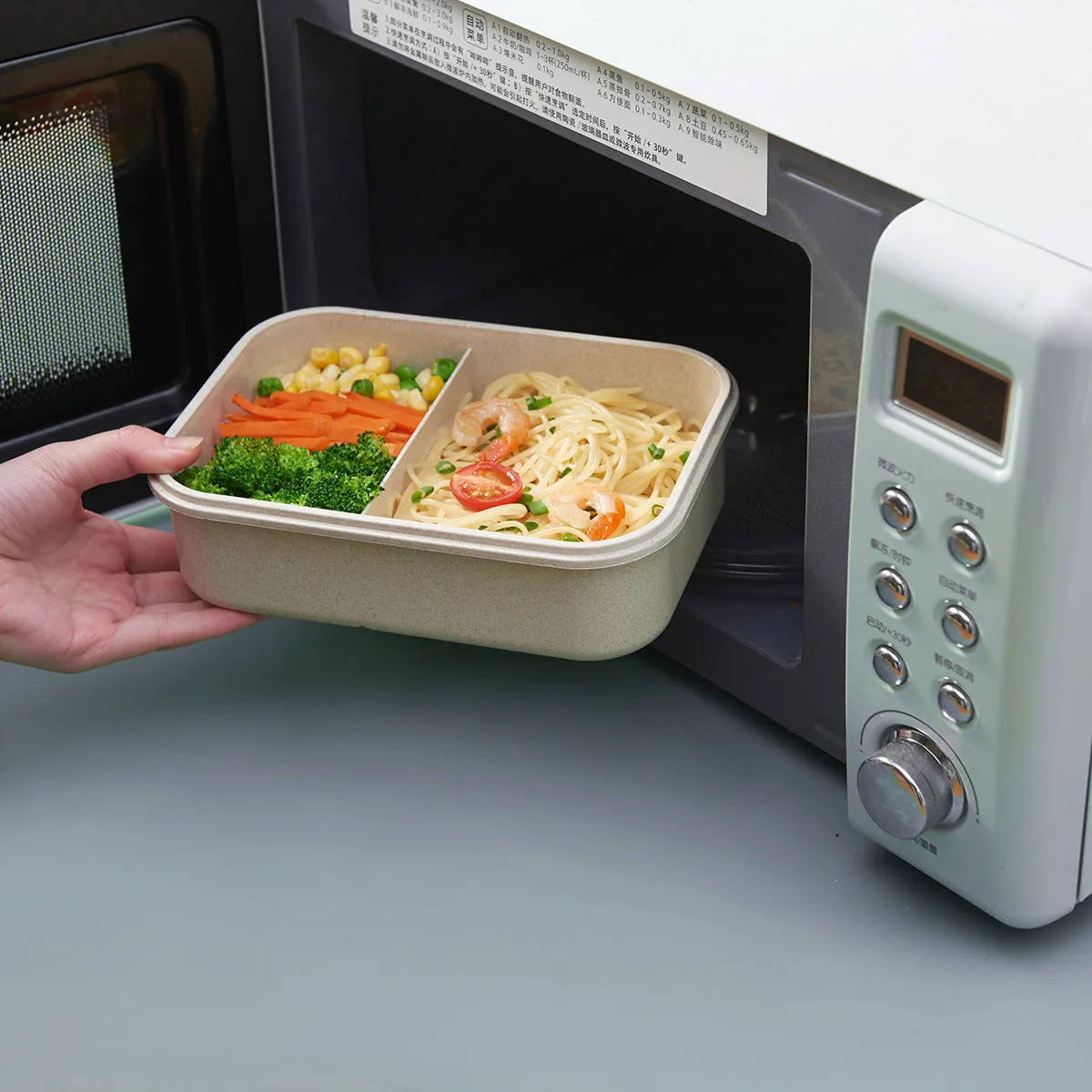 Japanese Style Bento Lunch Box with Compartments
