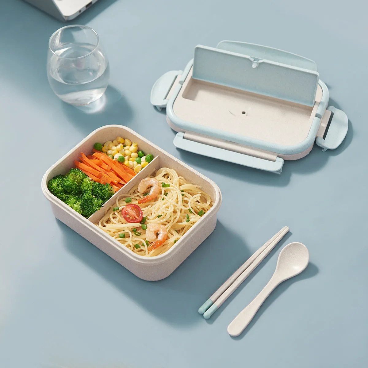 Japanese Style Bento Lunch Box with Compartments