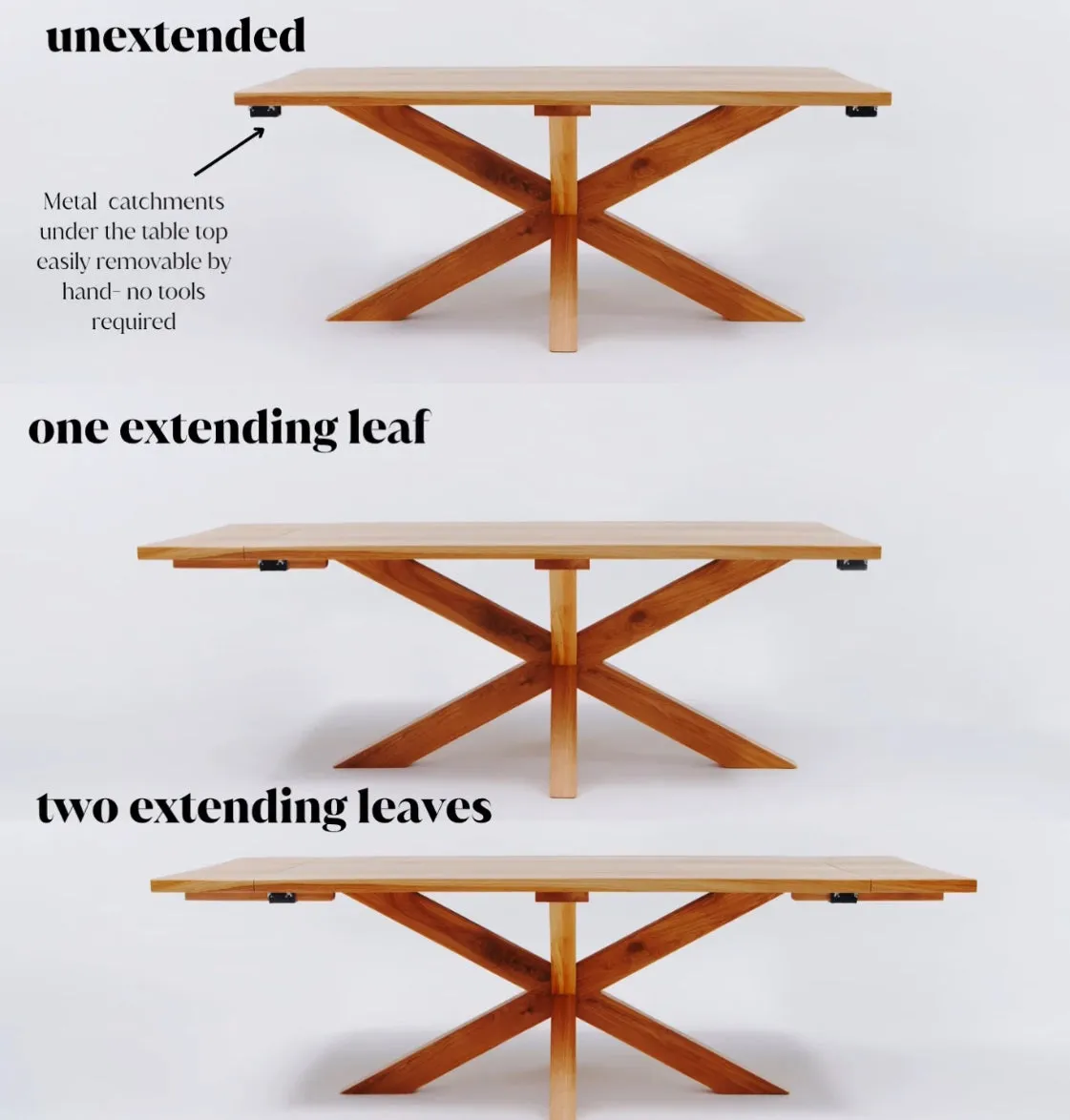 The Walnut Spider