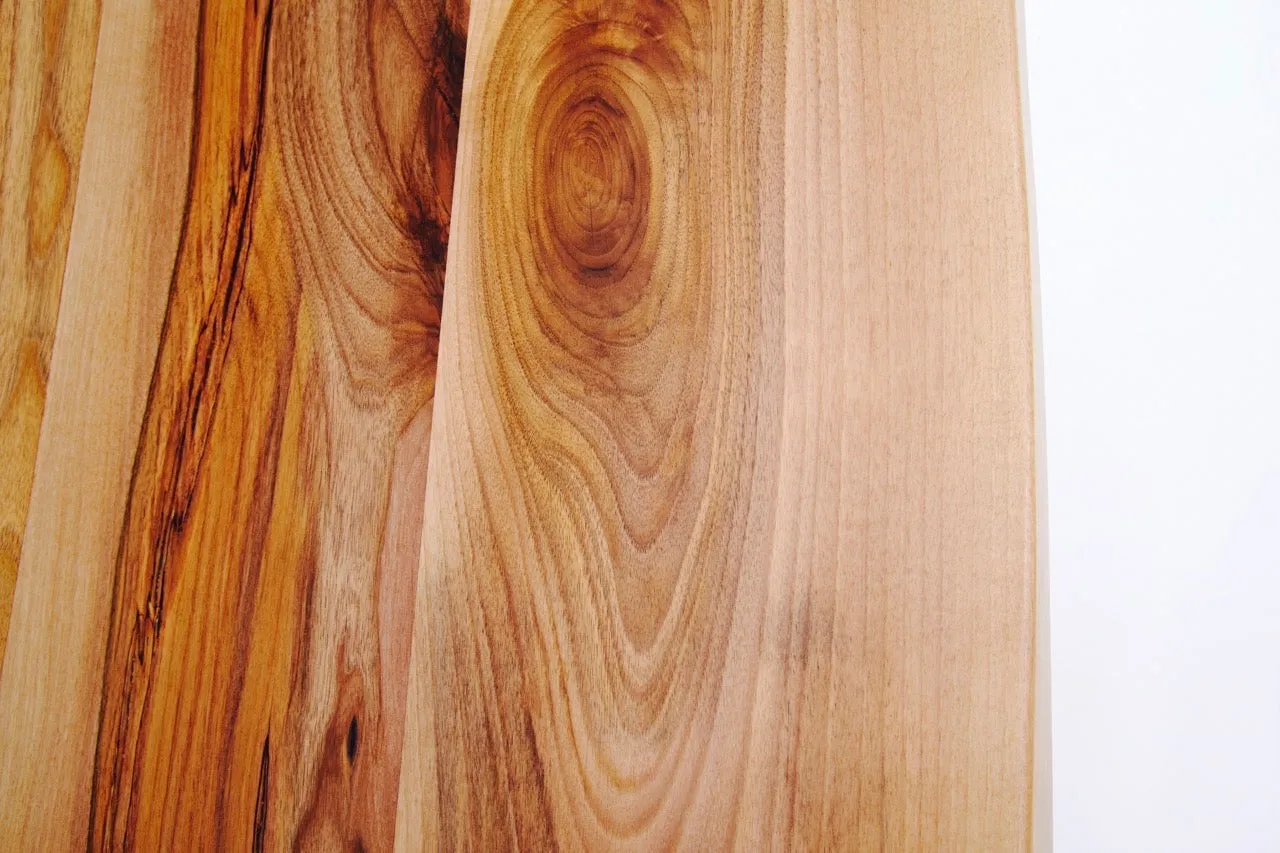 The Walnut Spider