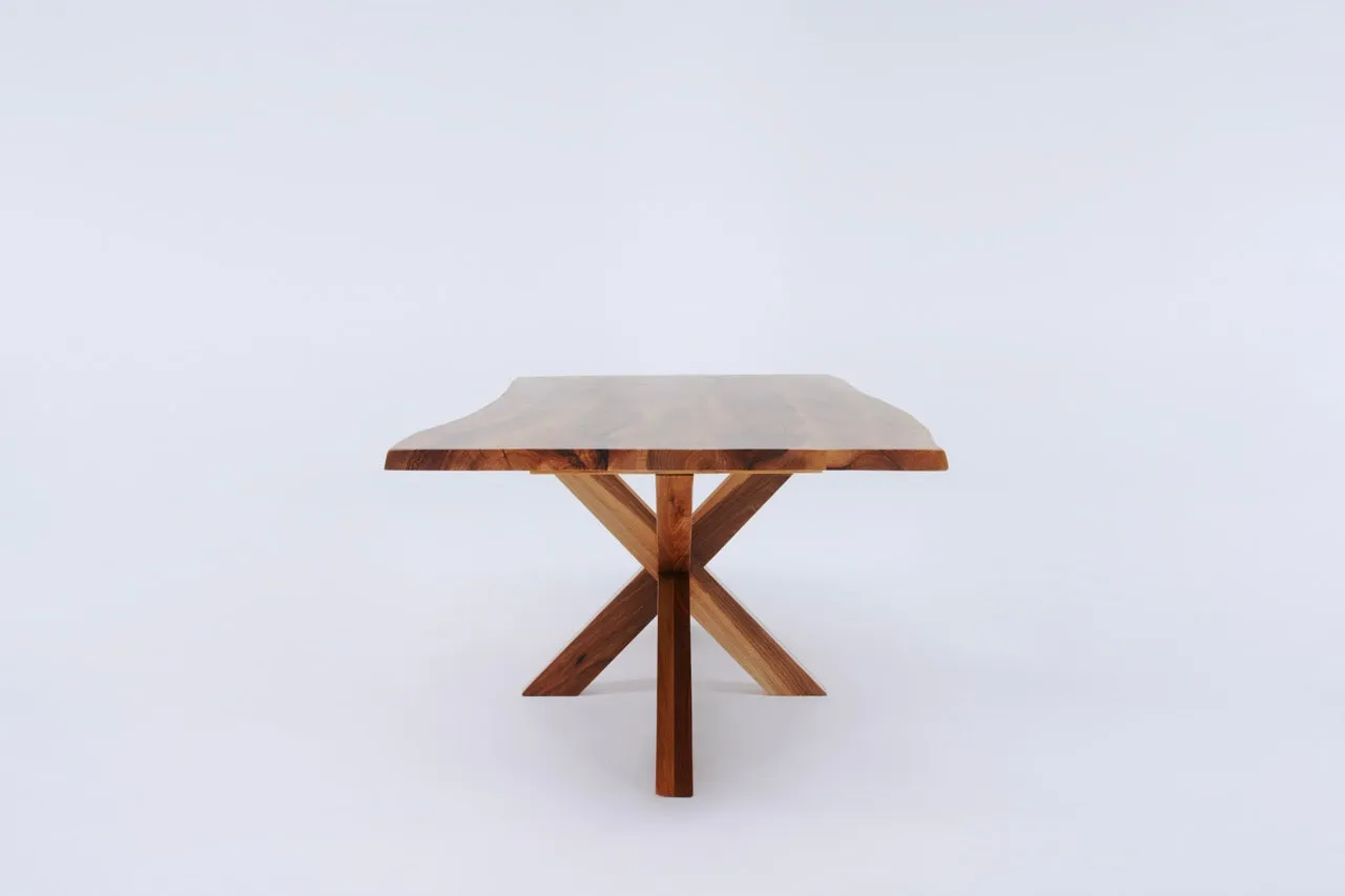 The Walnut Spider