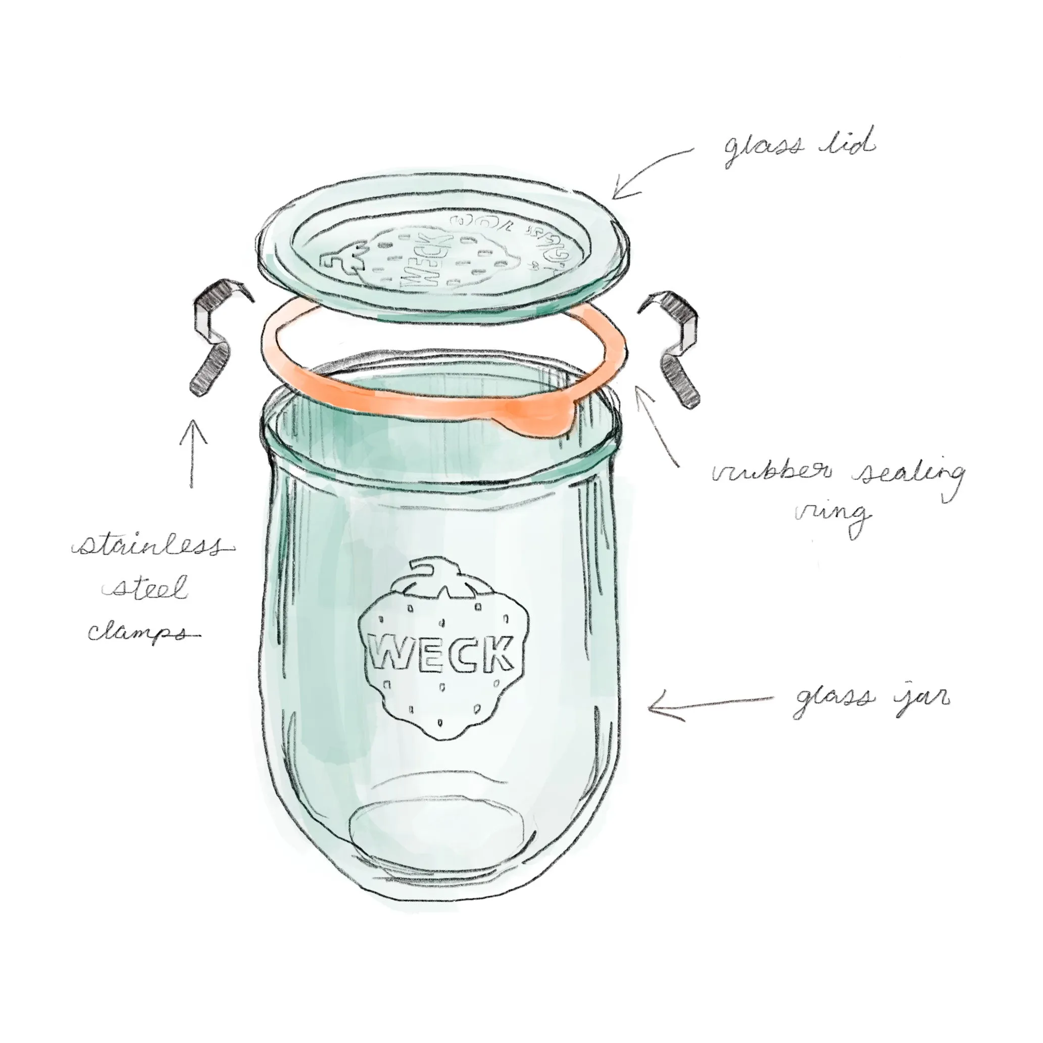 Weck Tulip Jar Combo Pack
